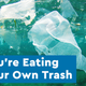 Just How Big Is the Great Pacific Garbage Patch?